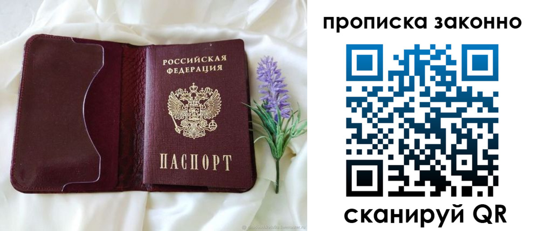 регистрация в Зиме